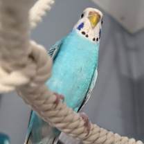 Thumbnail photo of Lenna #4