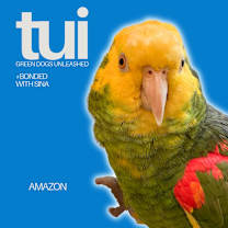 Thumbnail photo of Tui #1