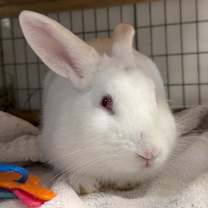 Thumbnail photo of Juneau #2