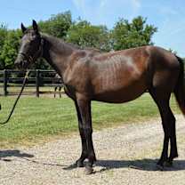 Thumbnail photo of Cyclone #1