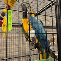 Thumbnail photo of Te Ka #4