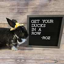 Thumbnail photo of Roz #1