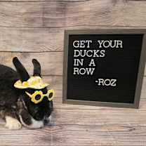 Thumbnail photo of Roz #2