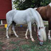 Thumbnail photo of Smarty Pants #4