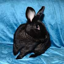 Thumbnail photo of Secret #1