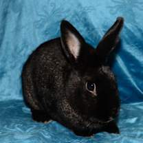 Thumbnail photo of Secret #2