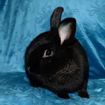 Thumbnail photo of Secret #3