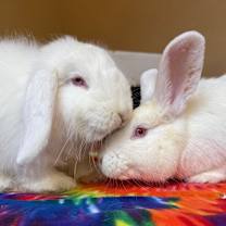 Thumbnail photo of Larry #4