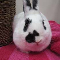 Thumbnail photo of Sharon #3