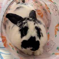 Thumbnail photo of Maddy #2