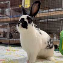 Thumbnail photo of Maddy #3