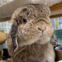 Thumbnail photo of Podcast #1