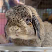 Thumbnail photo of Podcast #3