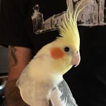 Thumbnail photo of Hobie #1