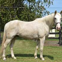 Thumbnail photo of Ghost #3