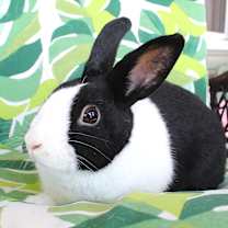 Thumbnail photo of Elise #2