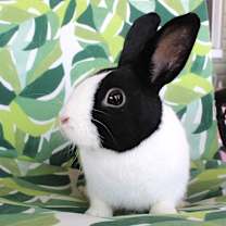 Thumbnail photo of Elise #3