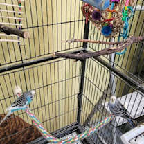 Thumbnail photo of Boyd & Floyd #1