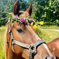 Thumbnail photo of LIBBY #3