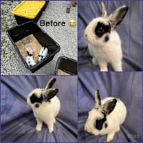 Thumbnail photo of Tasha #2