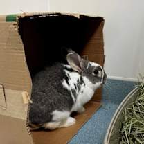 Thumbnail photo of Tokyo #4