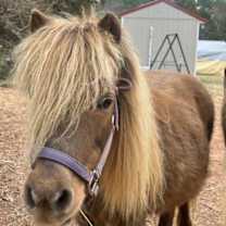 Thumbnail photo of Tina #1