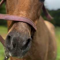 Thumbnail photo of Tina #3