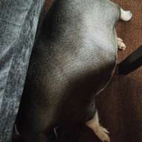 Thumbnail photo of Sweets #3