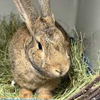 Thumbnail photo of Hip Hop #3