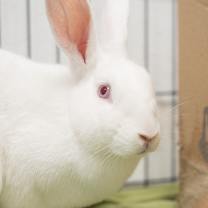 Thumbnail photo of Halsey #1