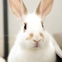 Thumbnail photo of Fergie #1