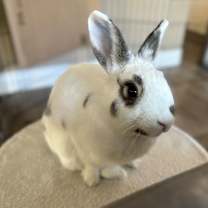 Thumbnail photo of Tutti Frutti #1