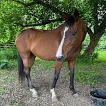 Thumbnail photo of Lindsay - Lohanesberg #3