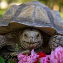 Thumbnail photo of Baby #1