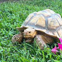 Thumbnail photo of Baby #3