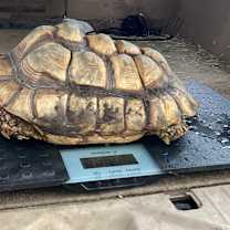 Thumbnail photo of Baby #4