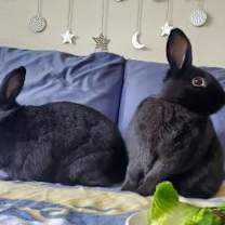 Thumbnail photo of Shower #2