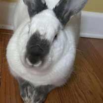 Thumbnail photo of Jax #1