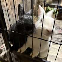 Thumbnail photo of Zarina #2