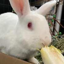 Thumbnail photo of Fillmore #2