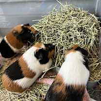 Thumbnail photo of Bernadette & Belinda #1