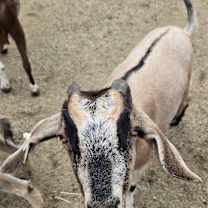 Thumbnail photo of The Second Chance Trio #2