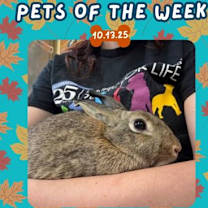 Thumbnail photo of Seafoam #2