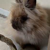 Thumbnail photo of Dorothy #3