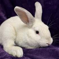 Thumbnail photo of Noah #4