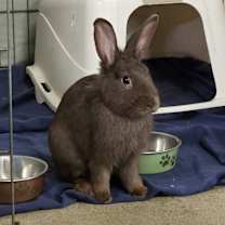 Thumbnail photo of Friday #1