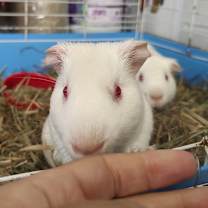 Thumbnail photo of Fluffybear & Harryboo #2