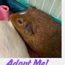 Thumbnail photo of Carl #1