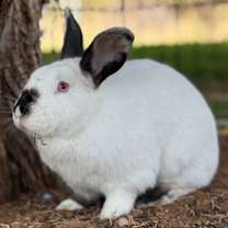 Thumbnail photo of Benjamin #3