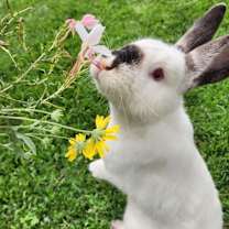 Thumbnail photo of Benjamin #4